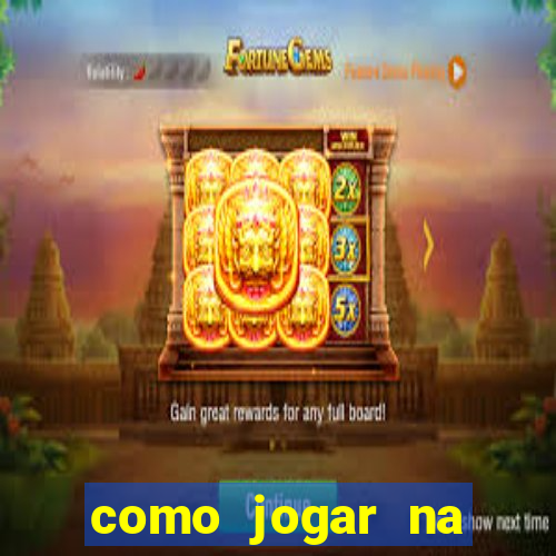 como jogar na teimosinha da lotofacil